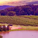 Weinanbaugebiete in Übersee