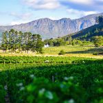 Weinanbaugebiete Südafrika