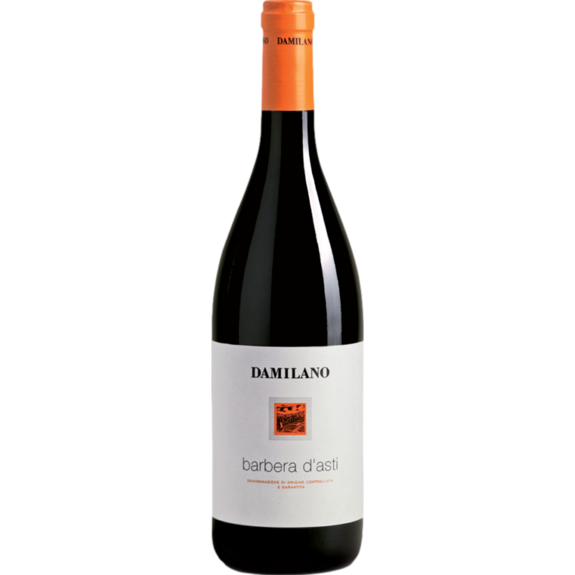 2019 Damilano Barbera d'Asti