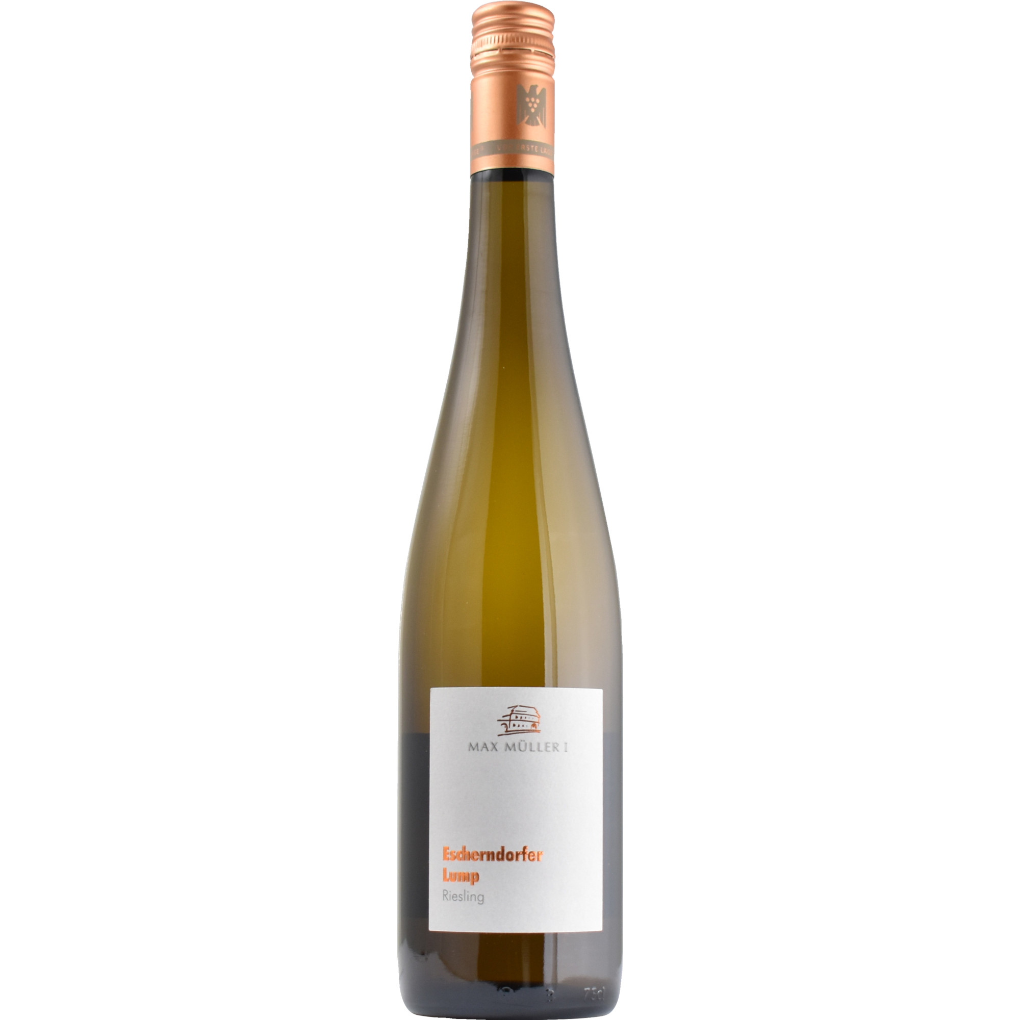 2023 Escherndorfer Lump Riesling Erste Lage