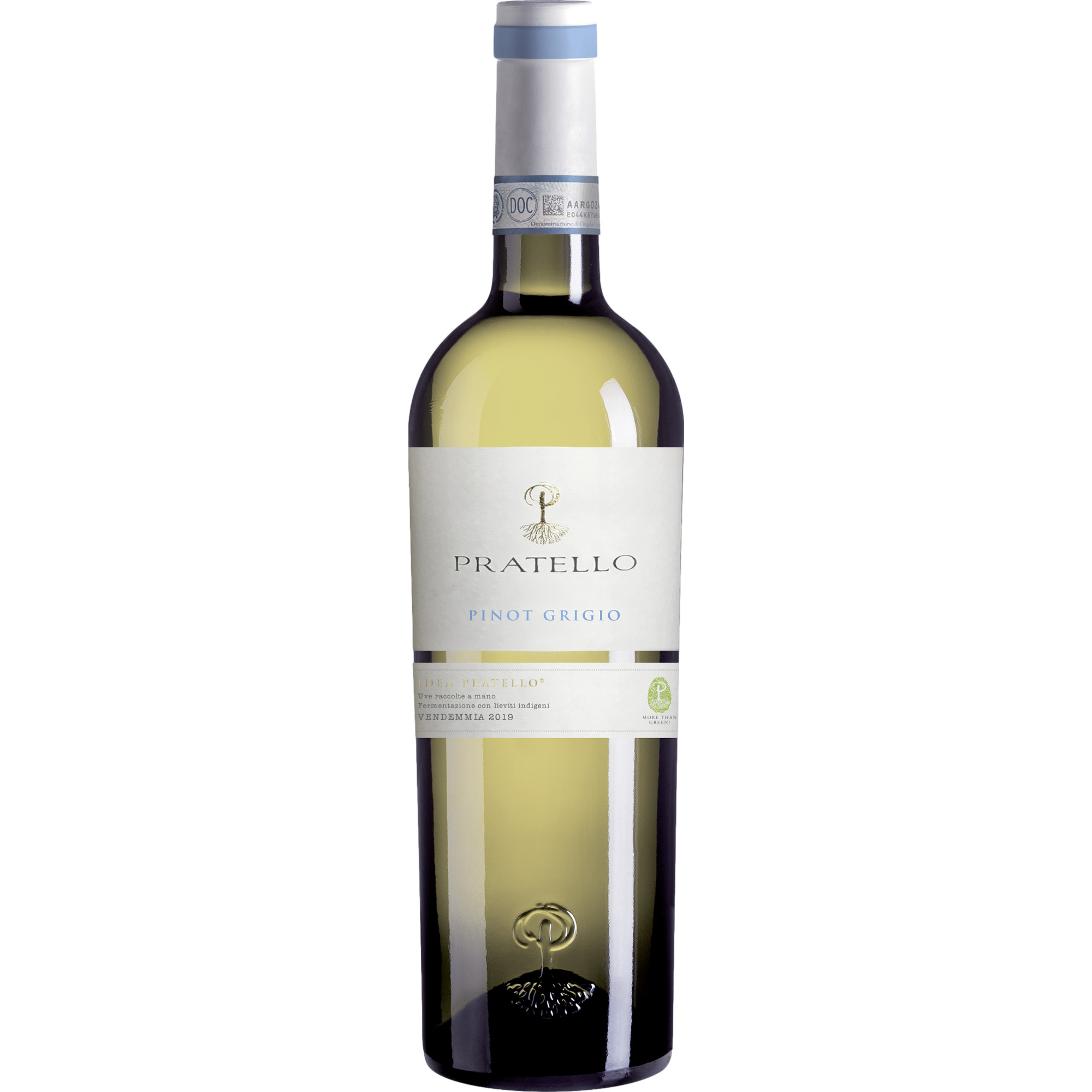 2023 Pratello Pinot Grigio